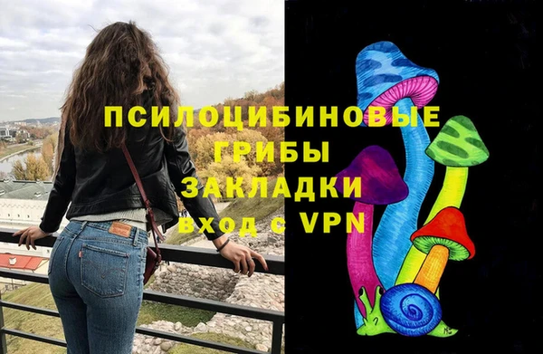 шишки Армянск