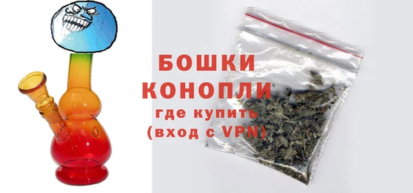 гидра Алексеевка
